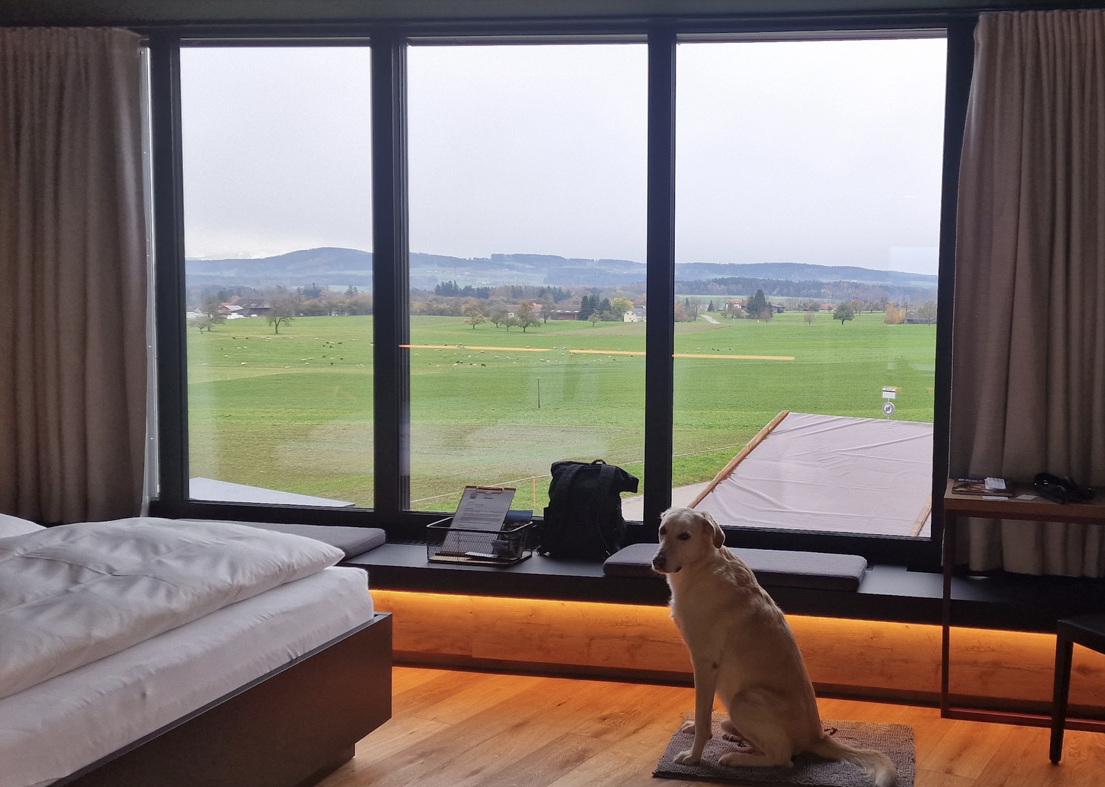 Customer testimoanil image